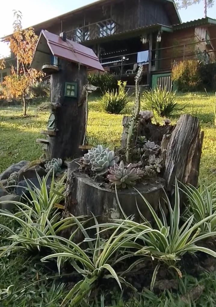 Camping Livre - imagem 2