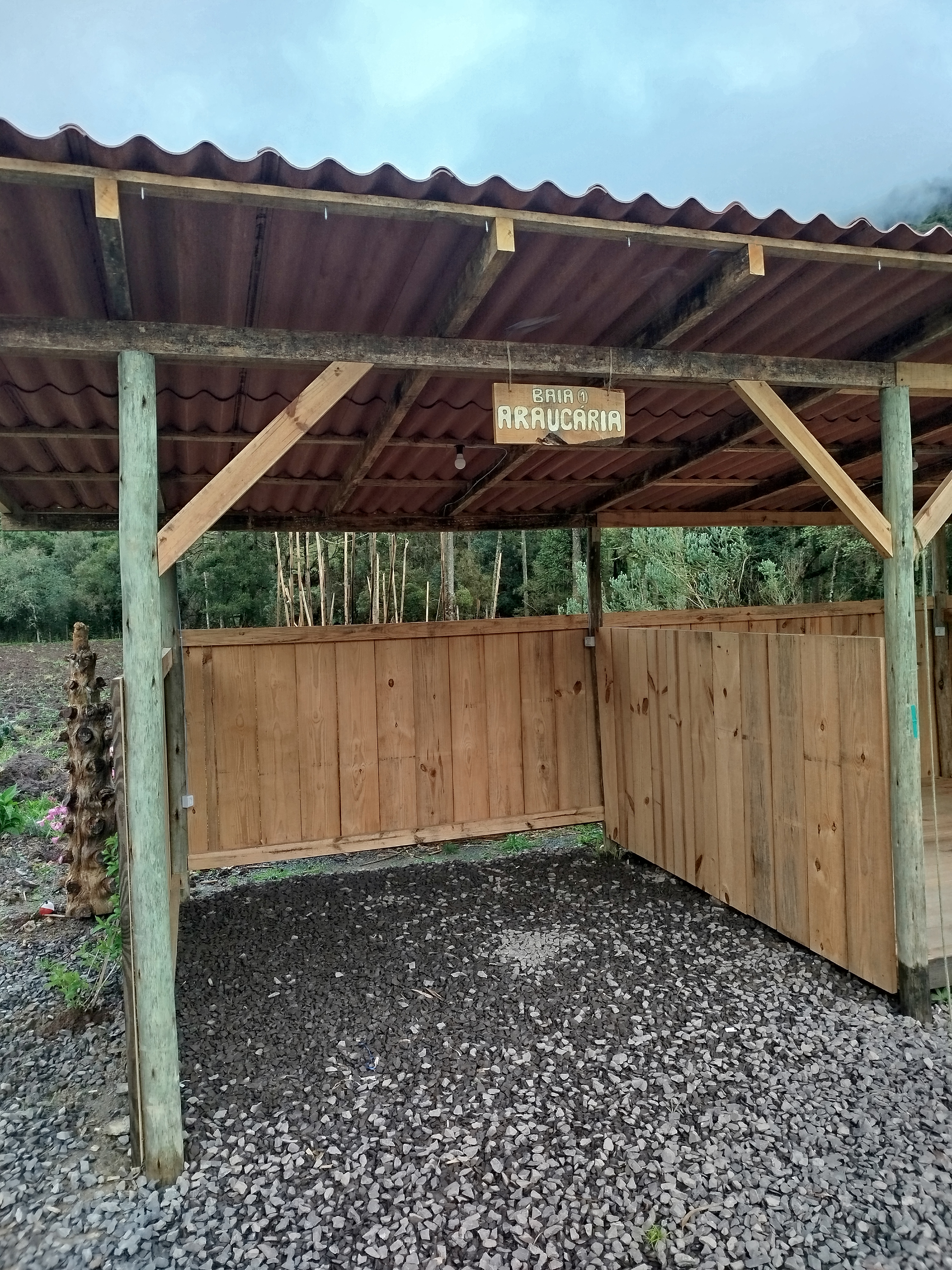 Área Coberta para Barracas - imagem 3