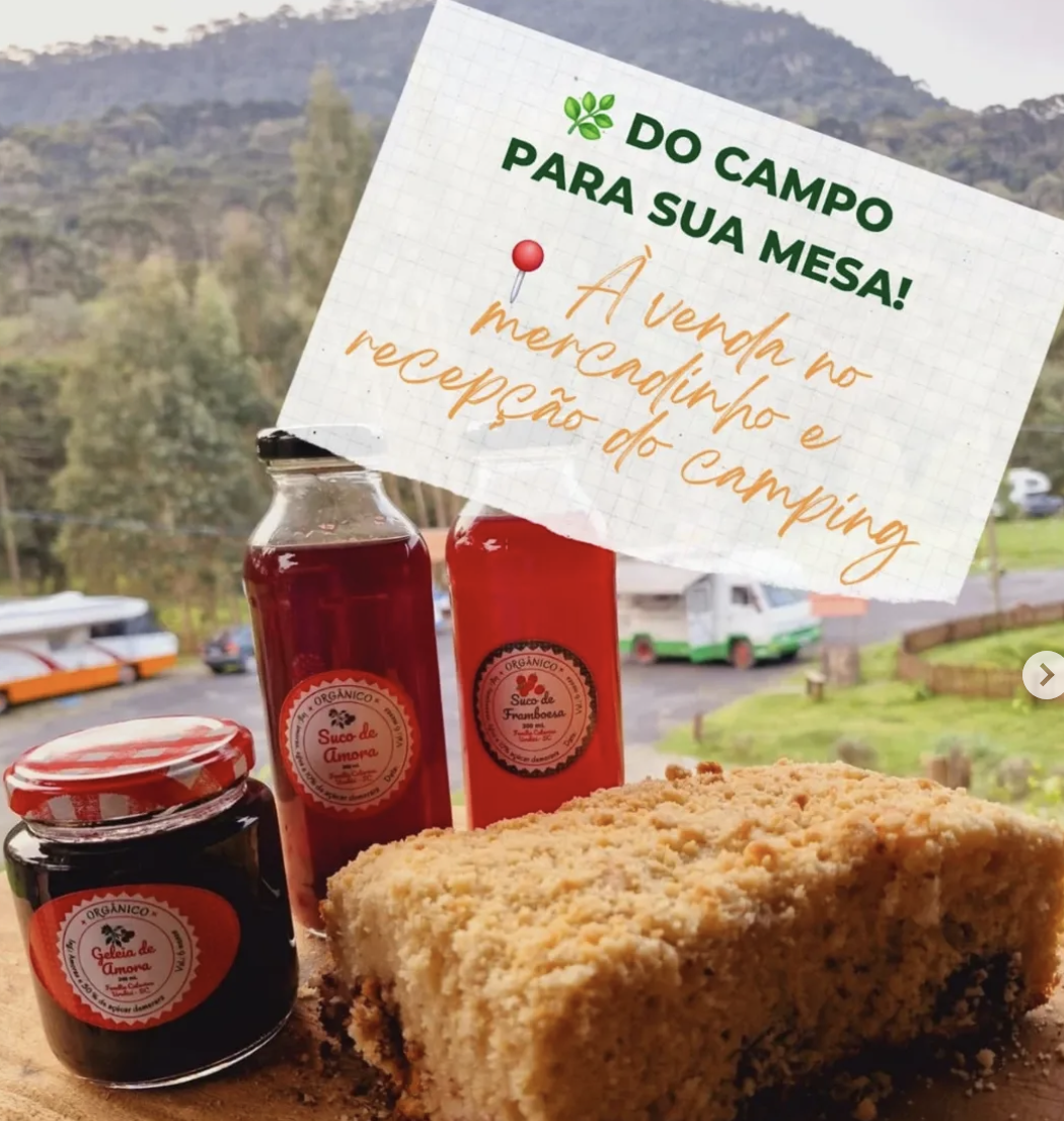 Quarto Framboesa - Familia Catarina - Imagem 7