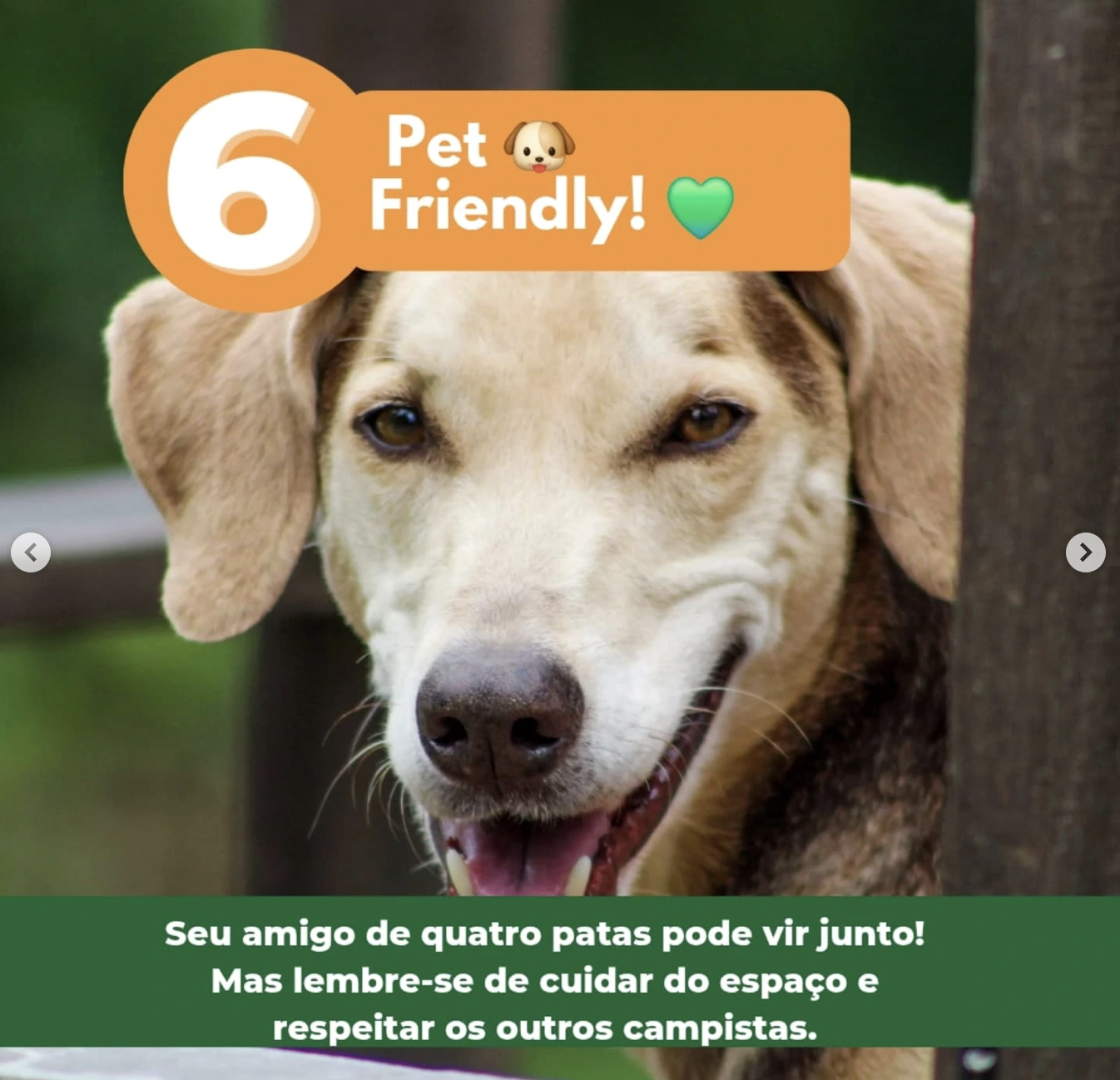 Quarto Framboesa - Familia Catarina - Imagem 8