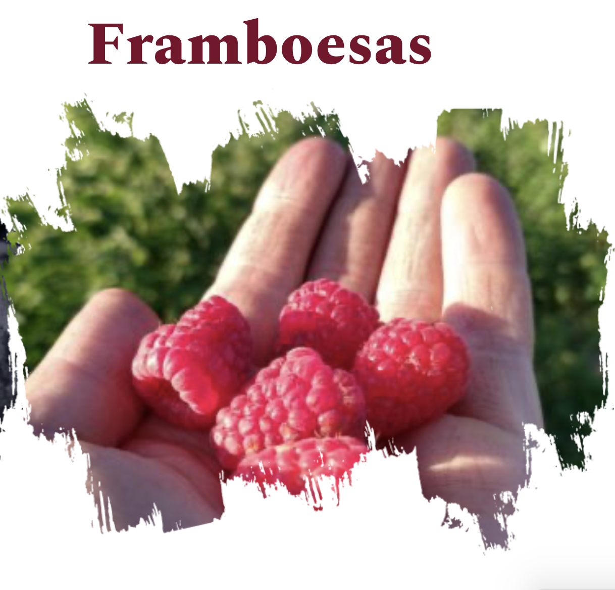 Quarto Framboesa - Familia Catarina - Imagem 12