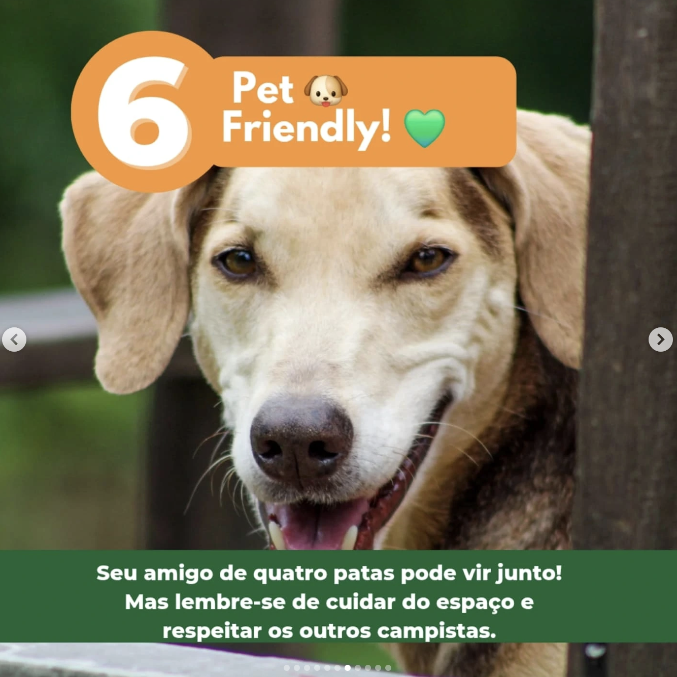 Casinha Fisális - Glamping Família Catarina - Imagem 12