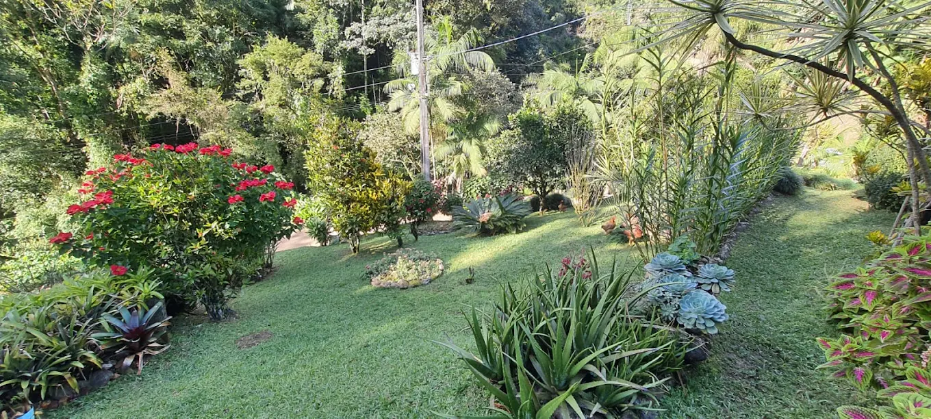 Camping Carvalho - Image 2