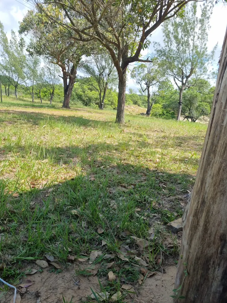 Camping Ecológico Panorama - Main Image