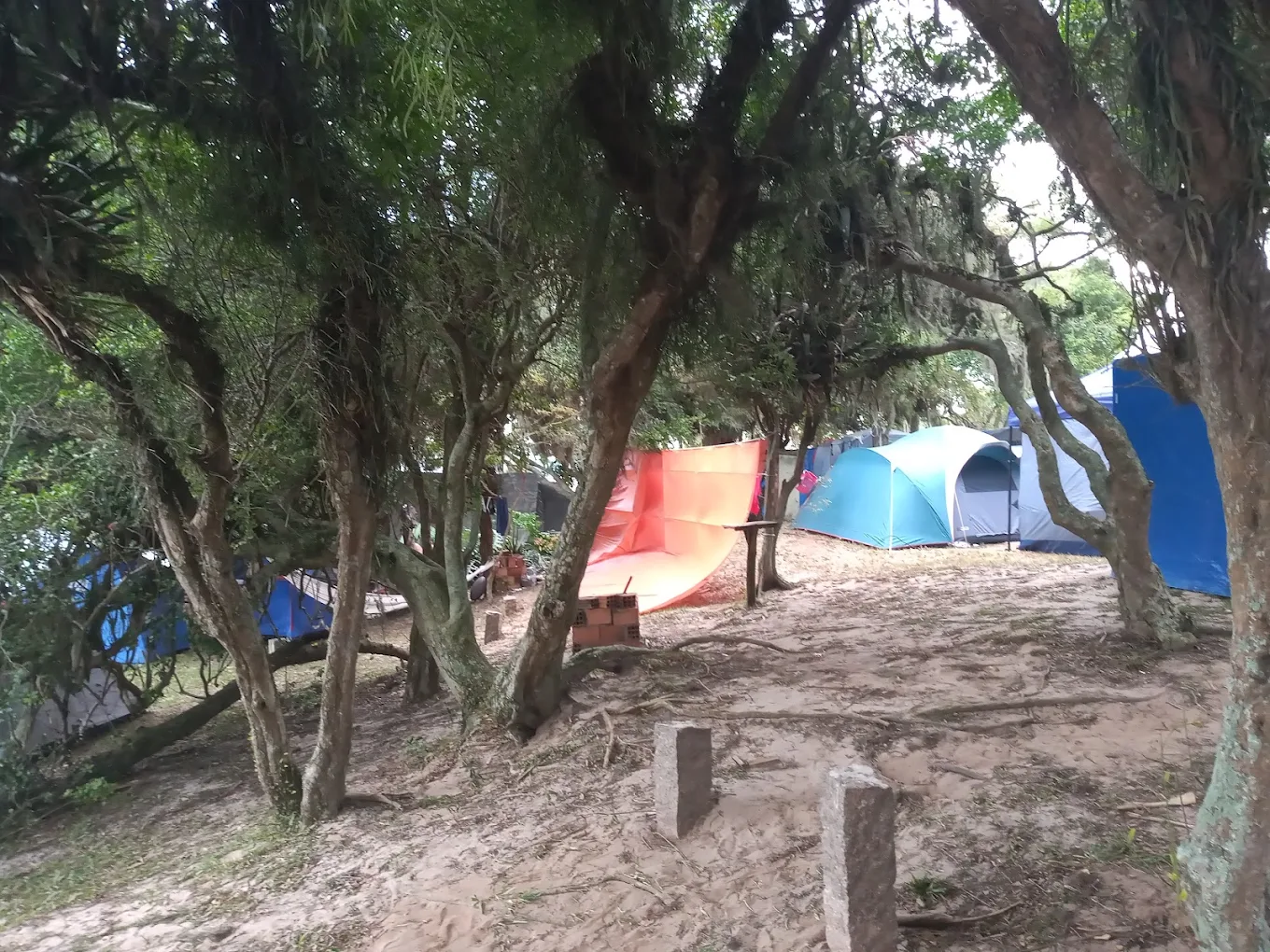 Camping Viana - Image 2