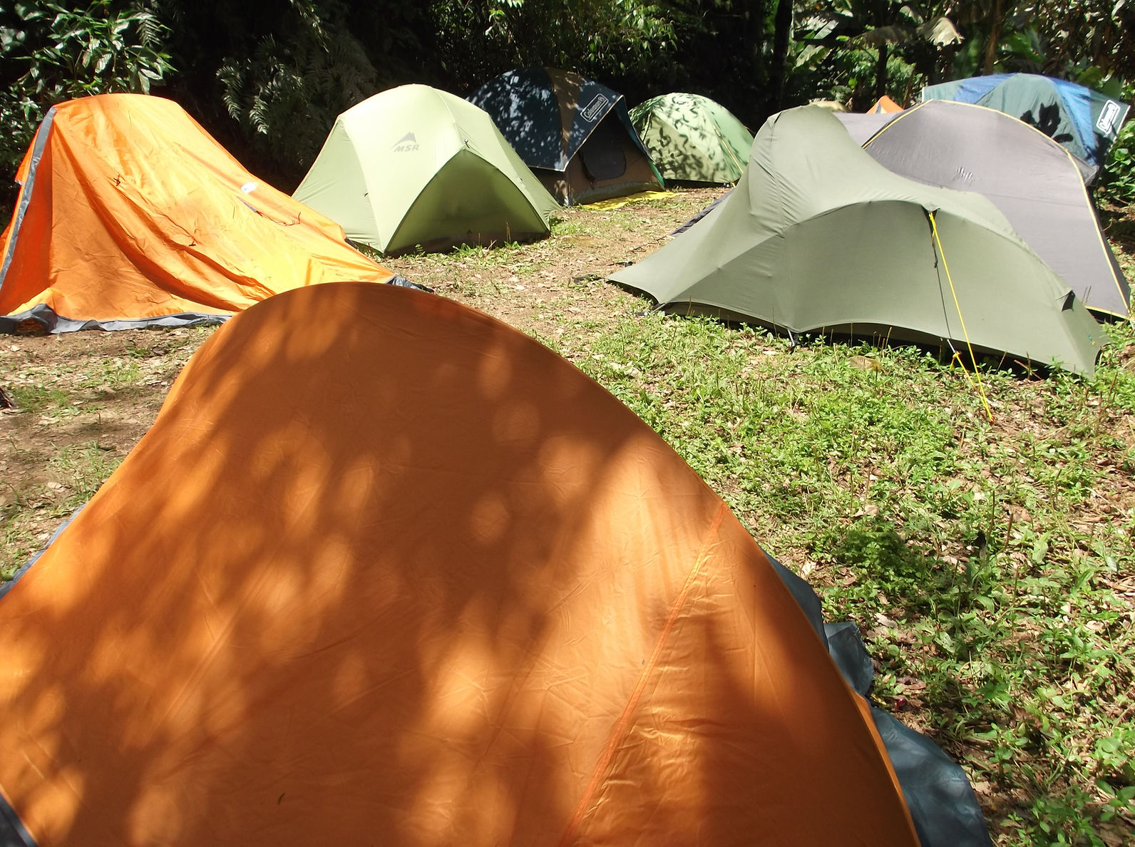 Braço Esquerdo Park - Image 5
