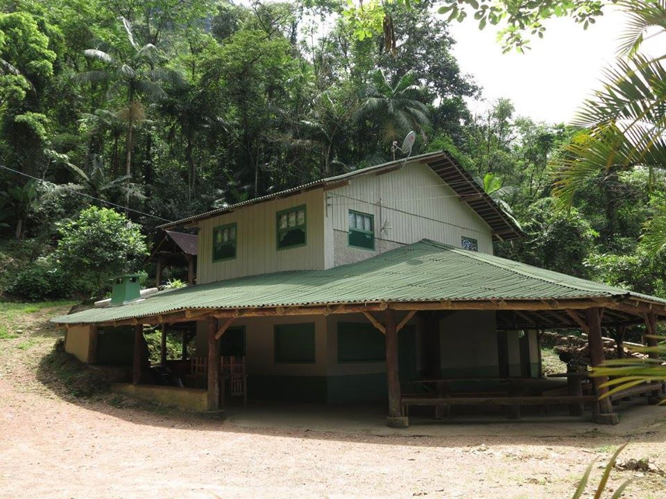 Braço Esquerdo Park - Image 3