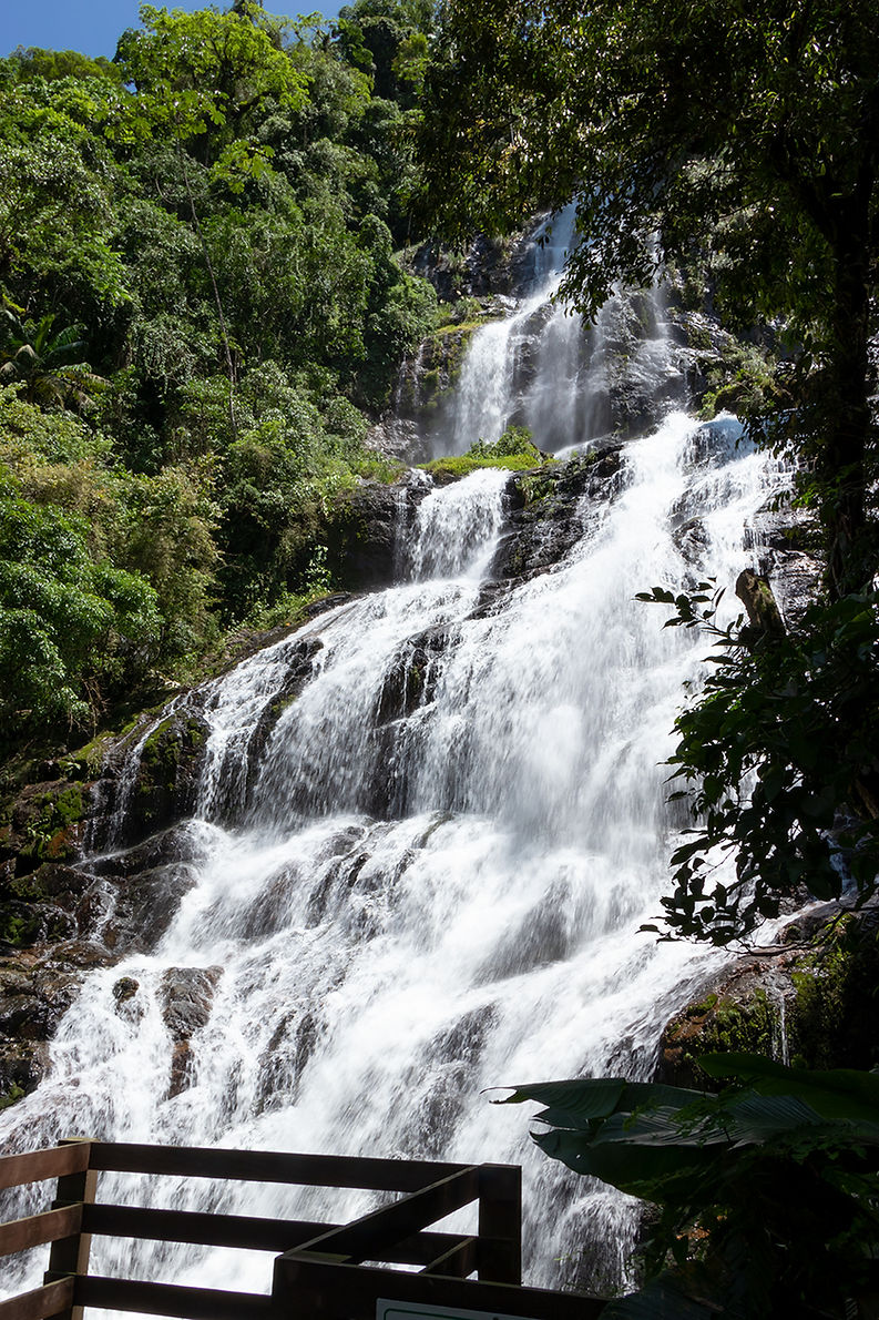 Braço Esquerdo Park - Image 4