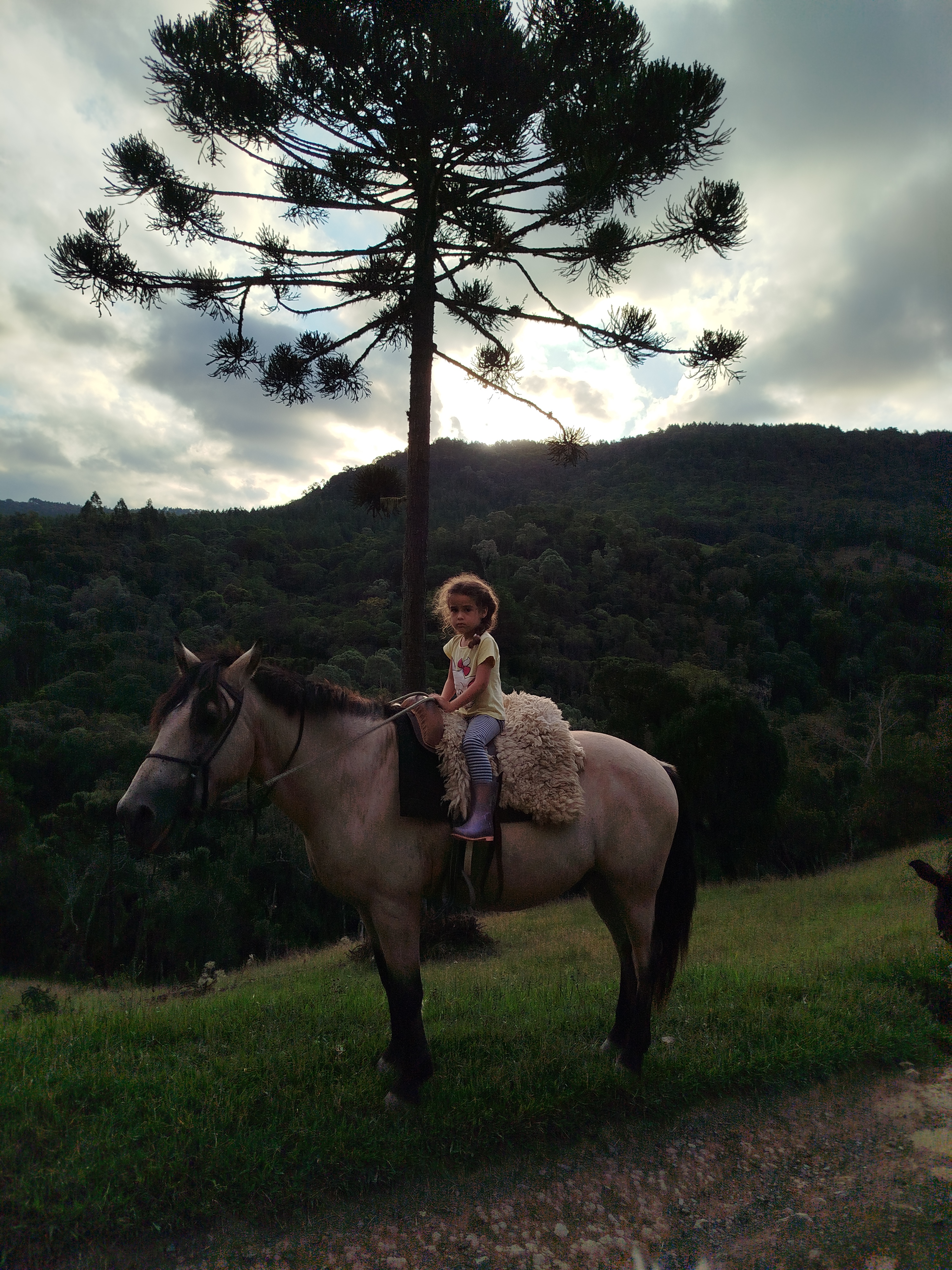 Camping e Cabanas Minatti e Ramos - Imagem 7
