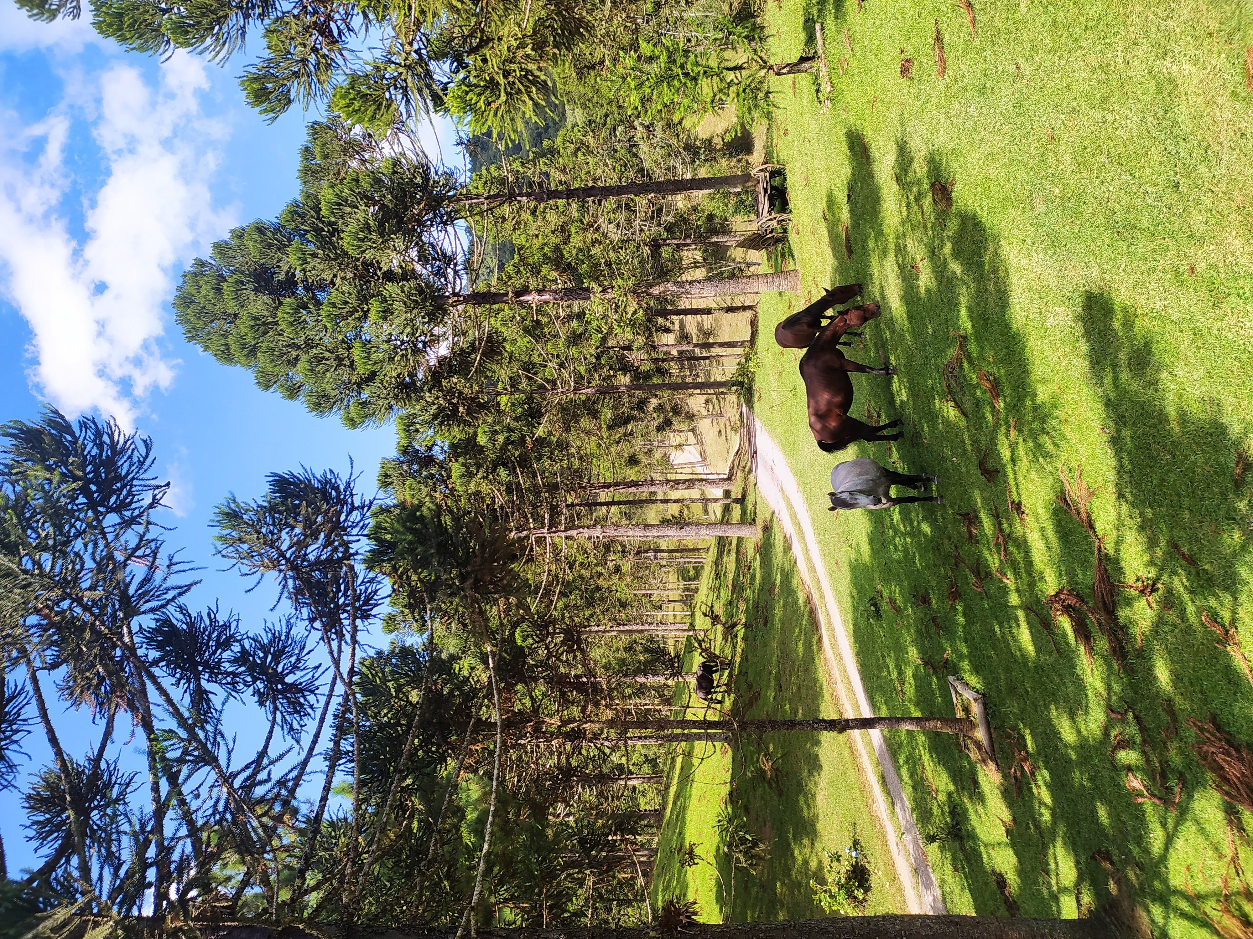 Camping e Cabanas Minatti e Ramos - Imagem 10