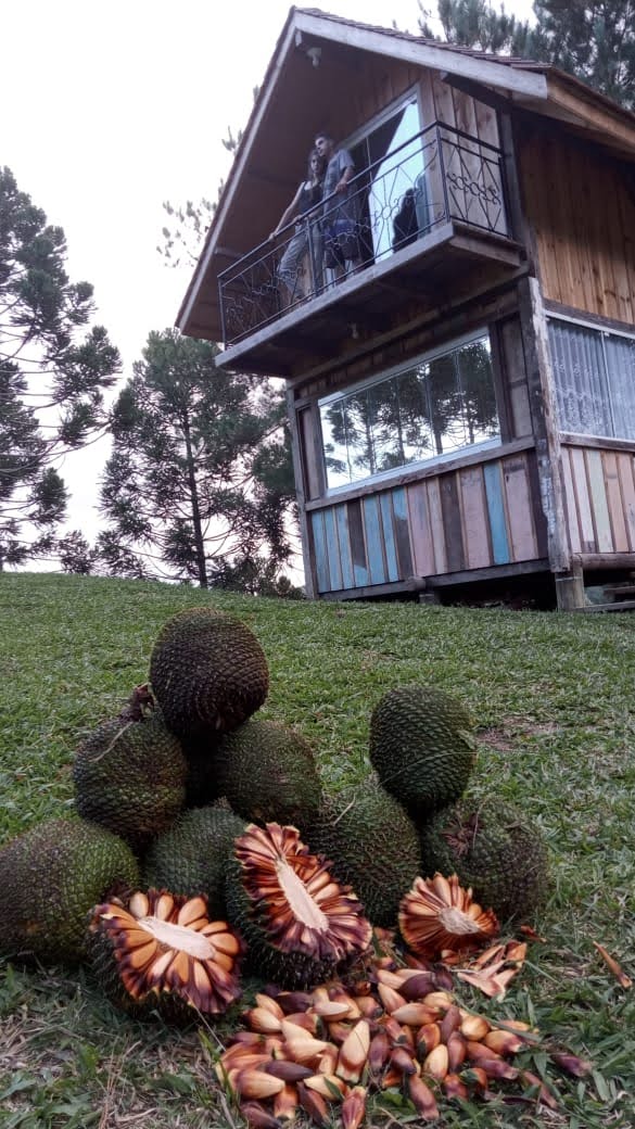 Camping e Cabanas Minatti e Ramos - Imagem 17