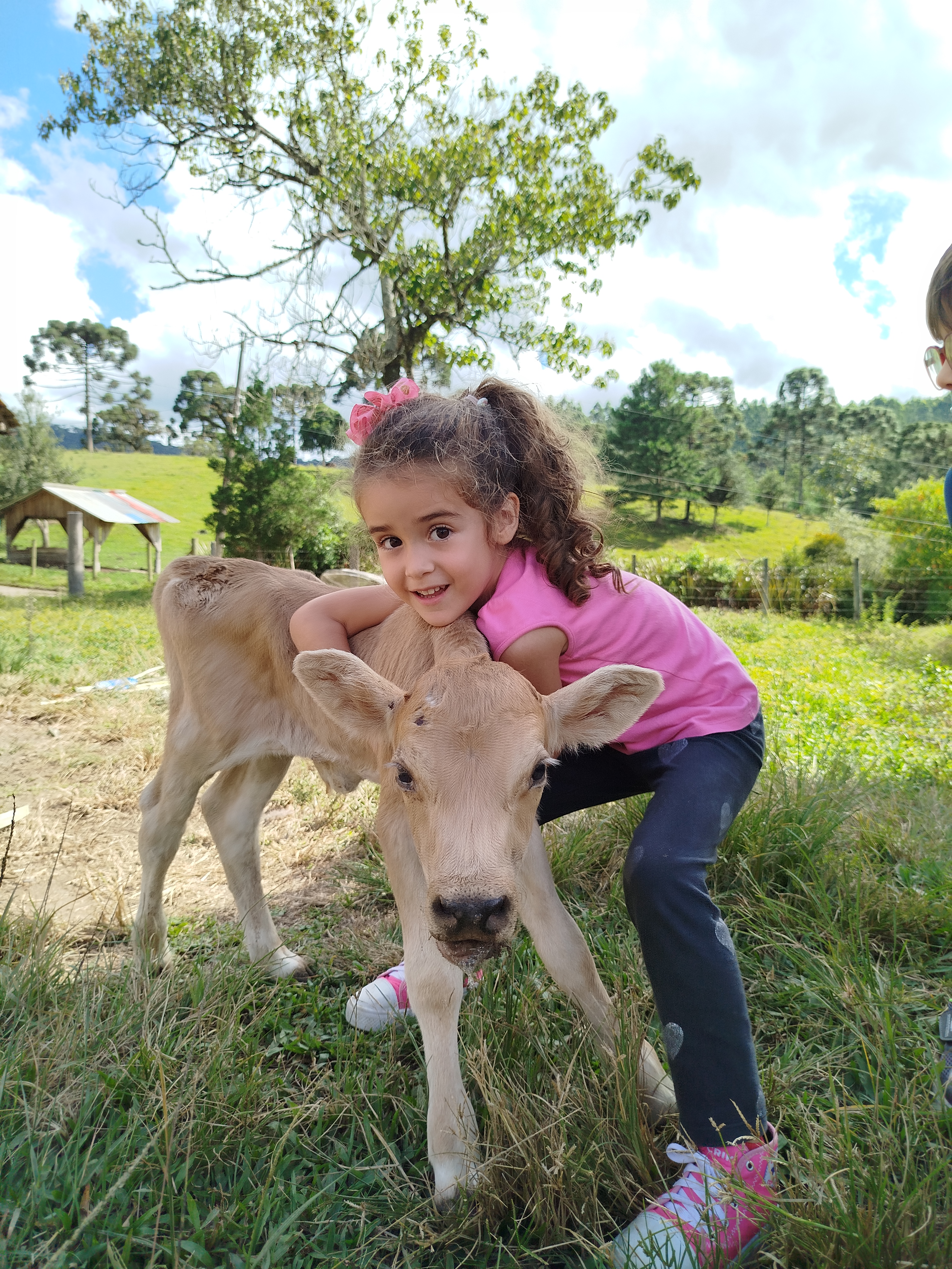 Camping e Cabanas Minatti e Ramos - Imagem 18