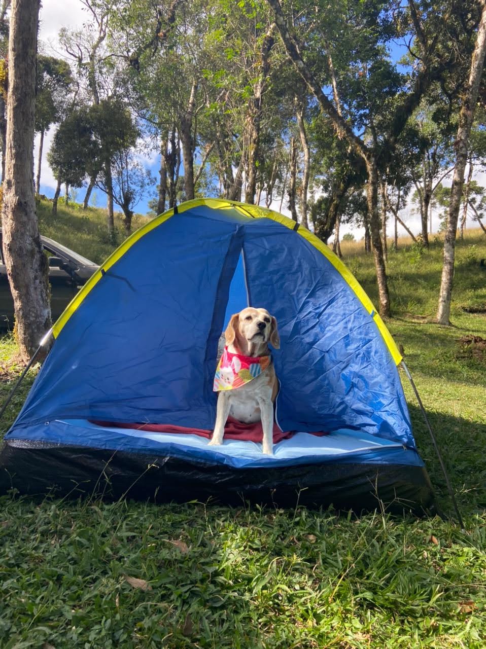 Camping e Cabanas Minatti e Ramos - Imagem 19
