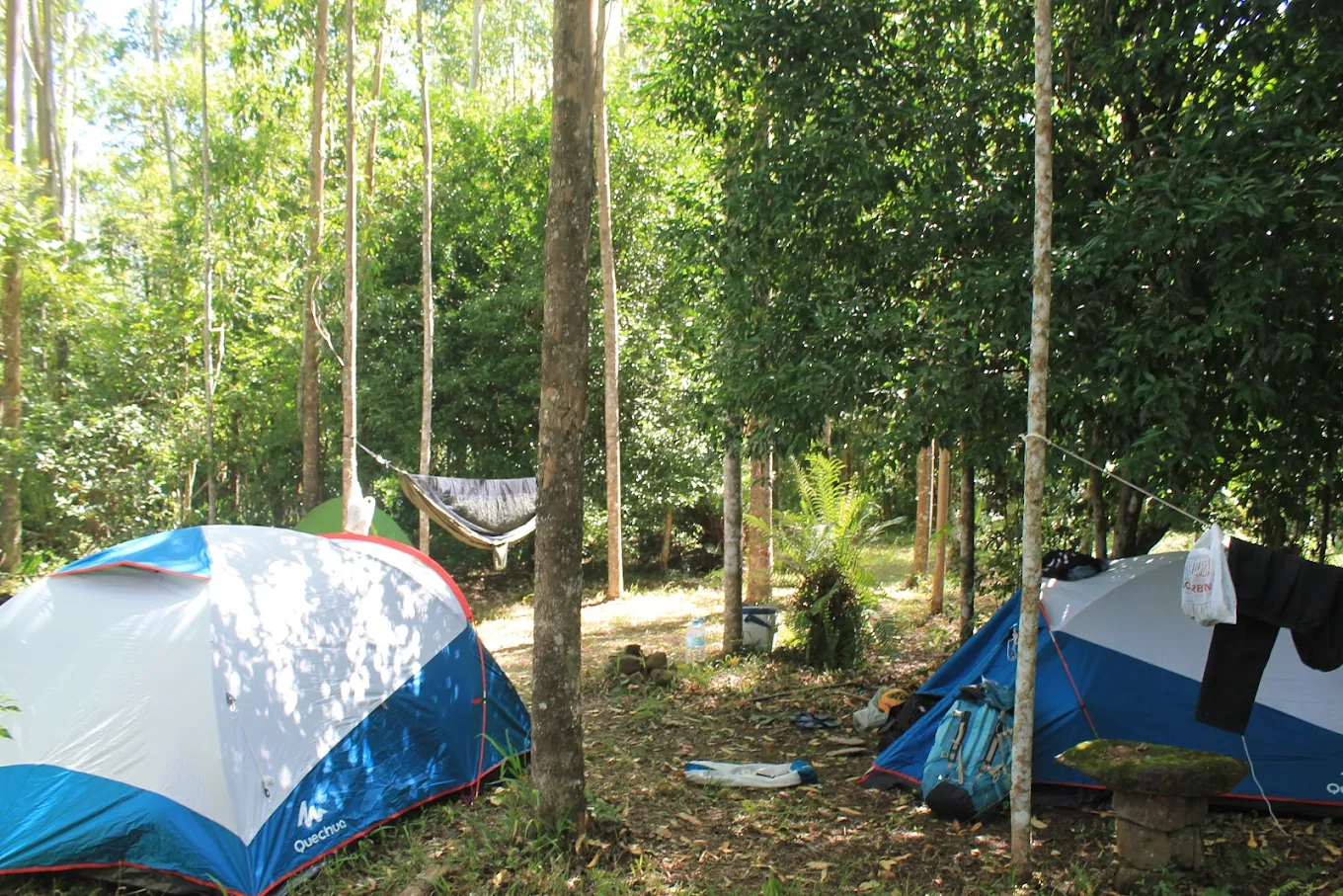 Camping Casa Da Grota - Image 3