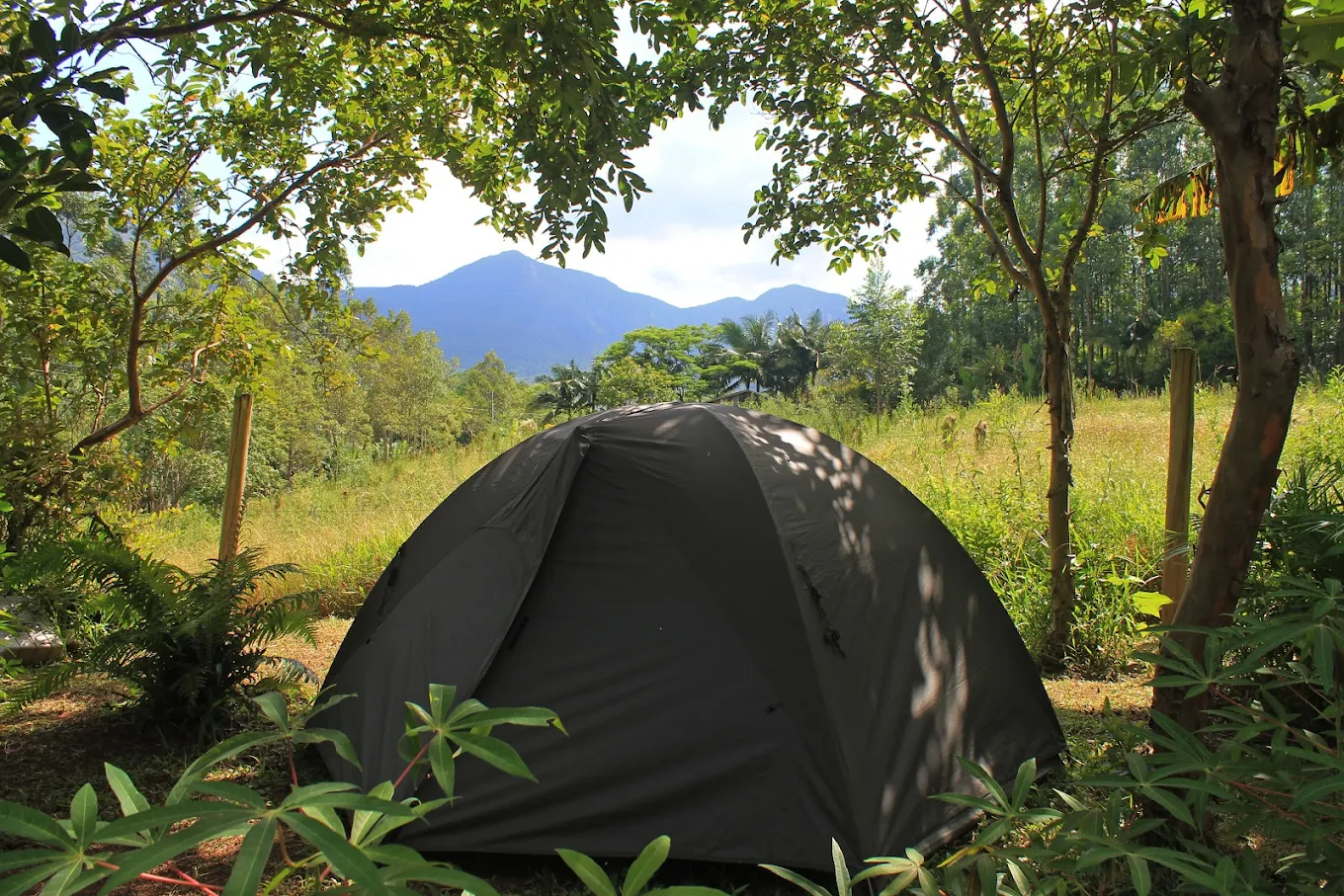 Camping Casa Da Grota - Image 2