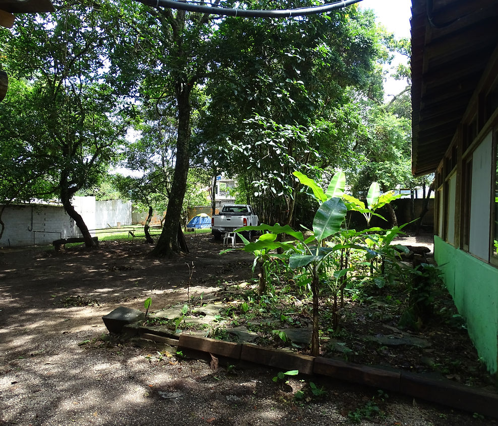 Camping Casarão - Image 3