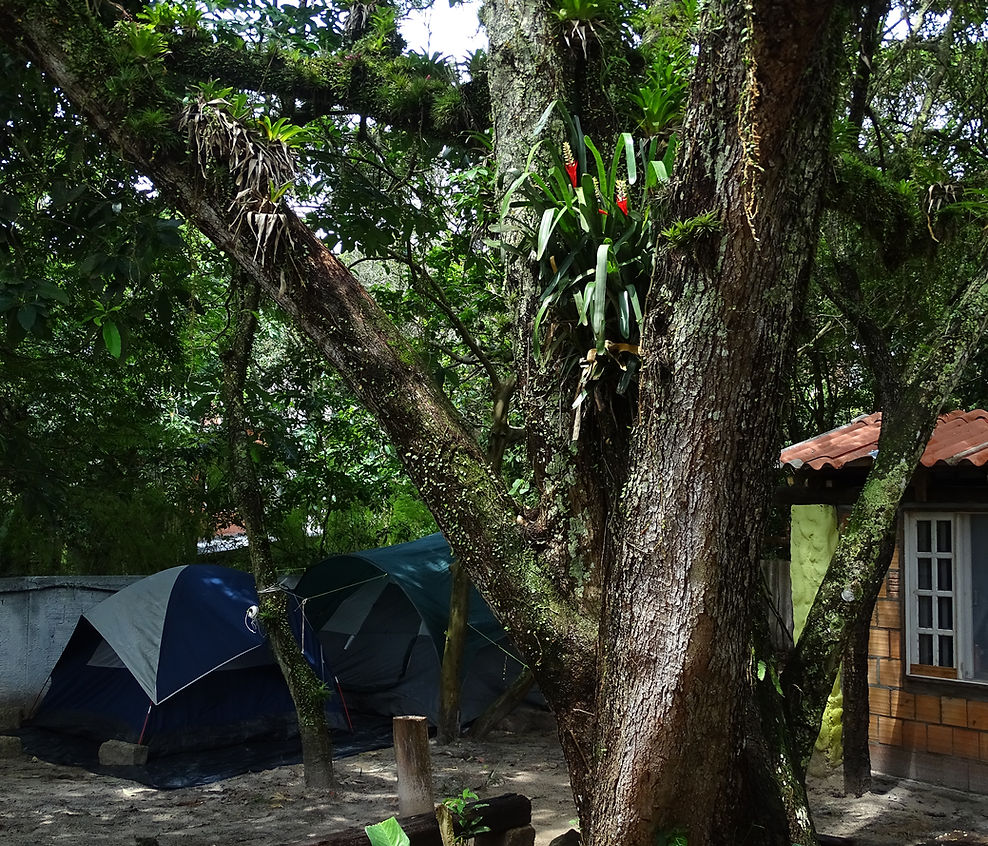 Camping Casarão - Image 5