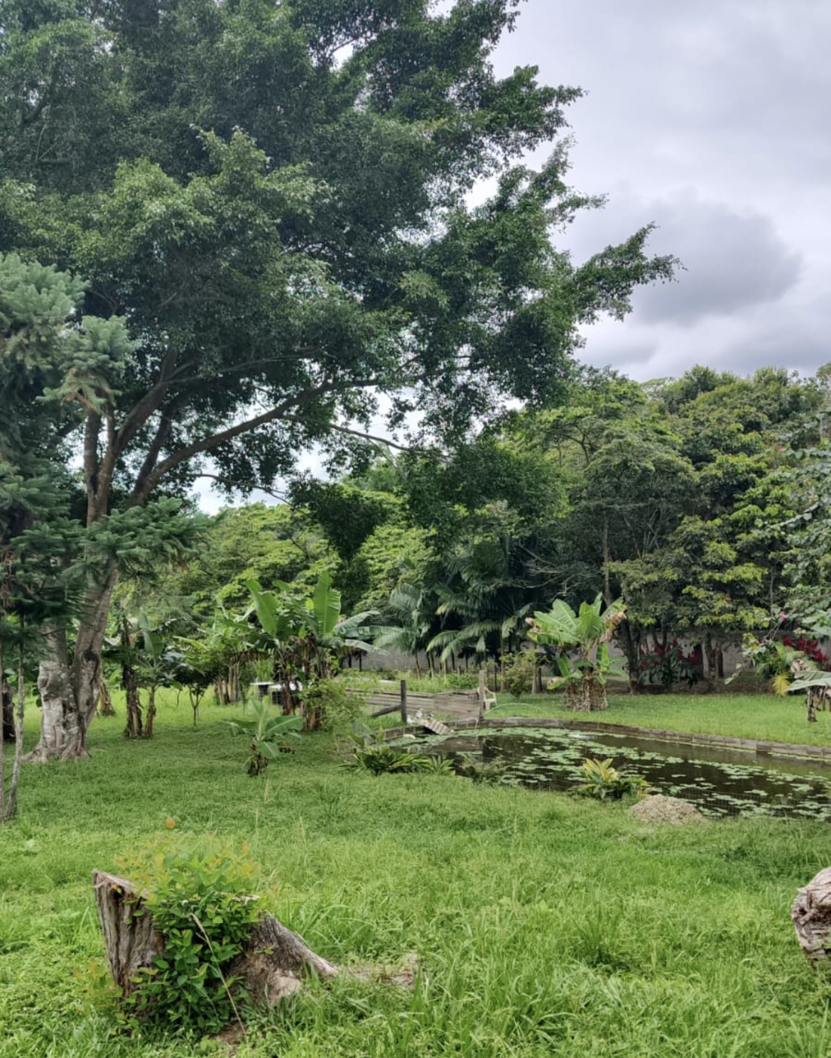 Camping Camping Rapel Ratones - Pesque e Pague em Florianópolis, Santa ...