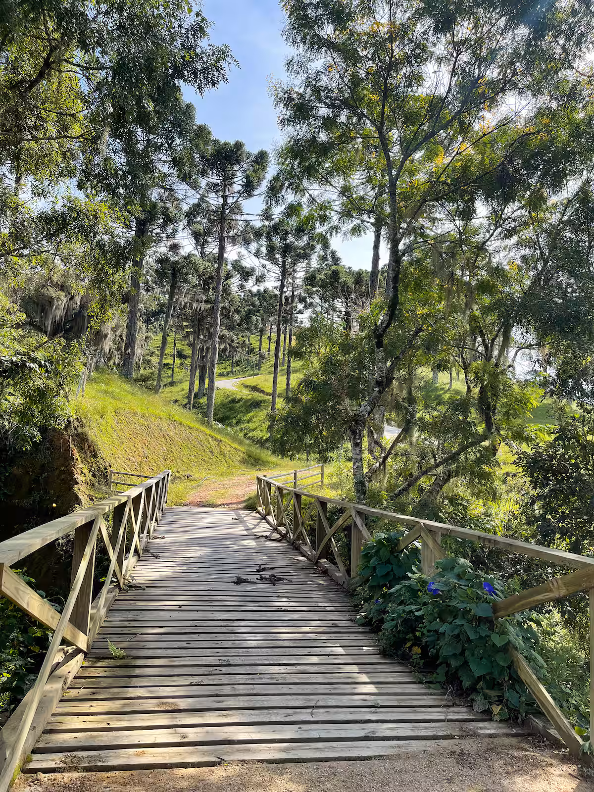 Cabana Mendoza — Acampamento Busch - Imagem 22