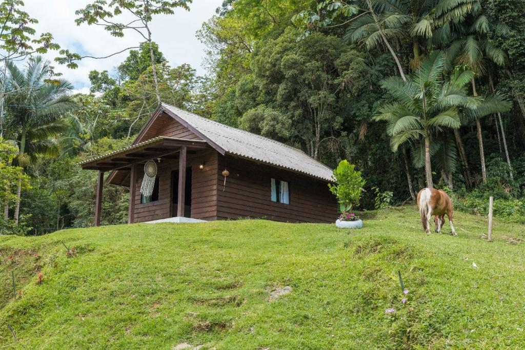 Chalé do diego na montanha - Image 5