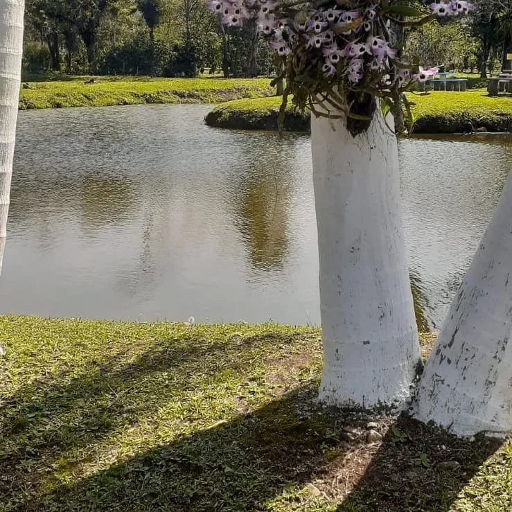 Recanto Três Nascentes - Imagem 6