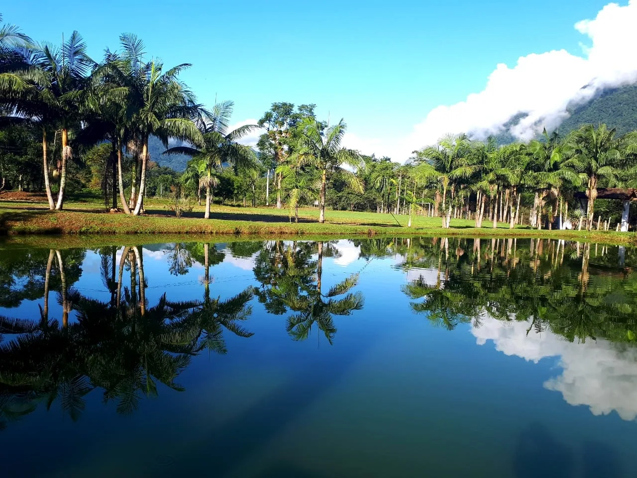 Camping  - imagem 3