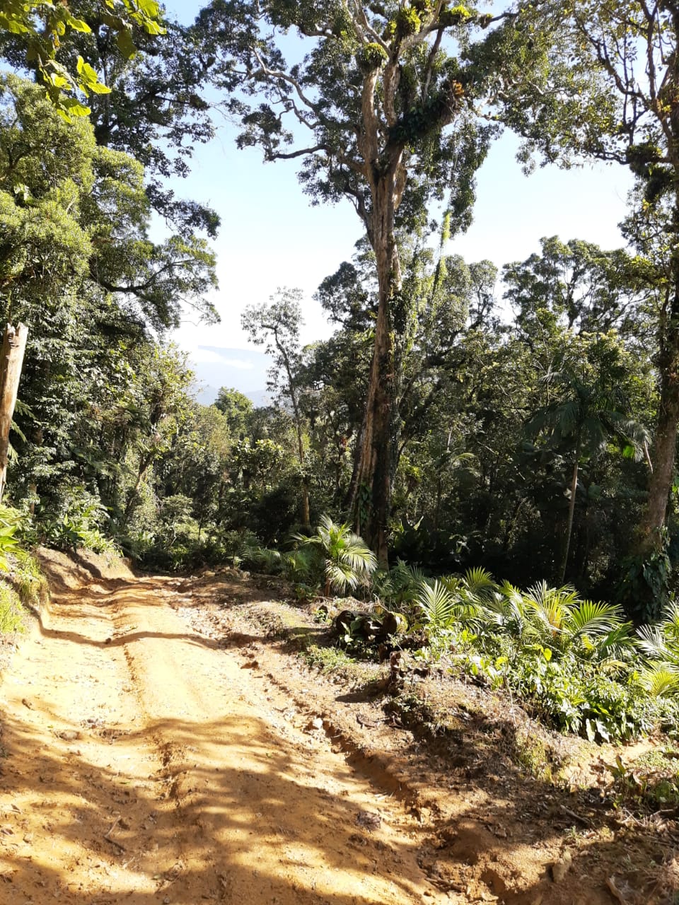 Camping Mirante do Vale - Imagem 5