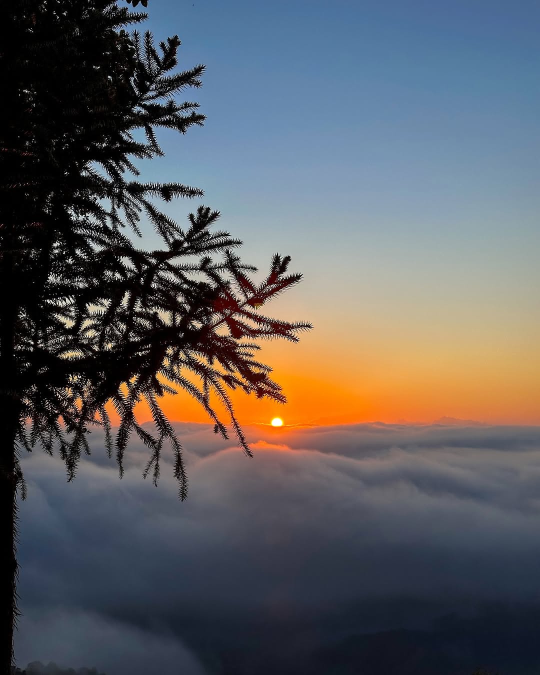 Camping Mirante do Vale - Imagem 12