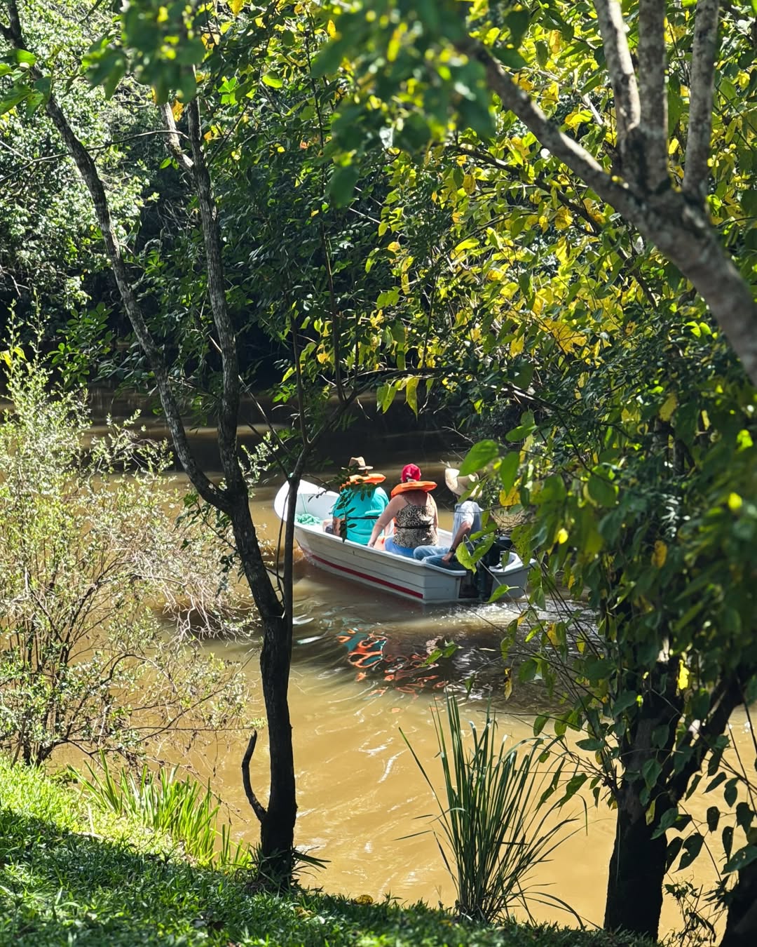 Vale do Bituva - Imagem 7