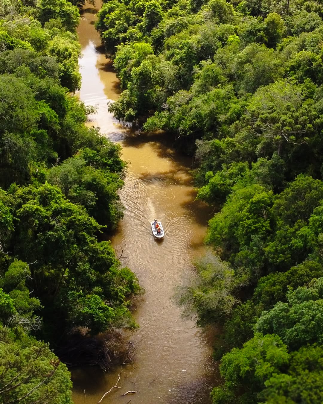 Vale do Bituva - Imagem 13