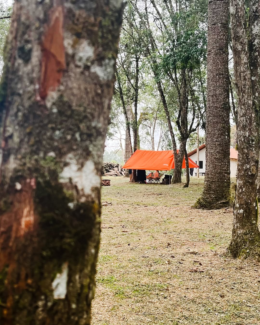 Vale do Bituva - Imagem 21