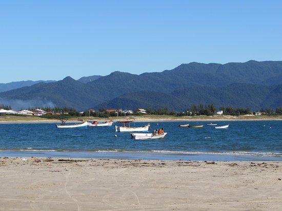 Camping da Pinheira - Imagem 1