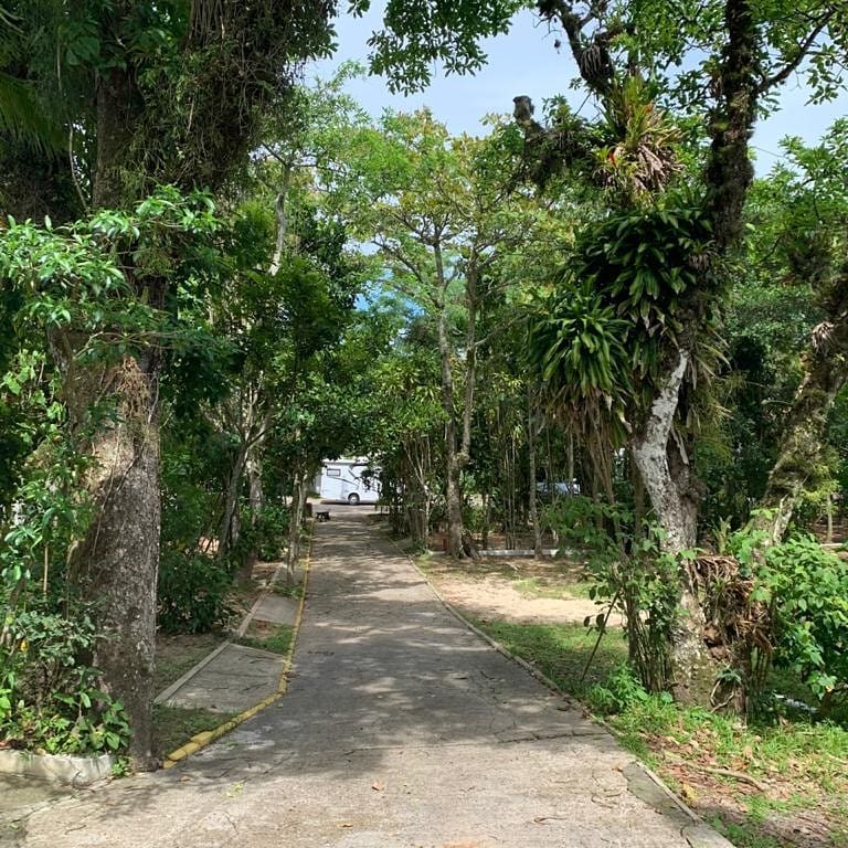 Camping da Pinheira - Imagem 12