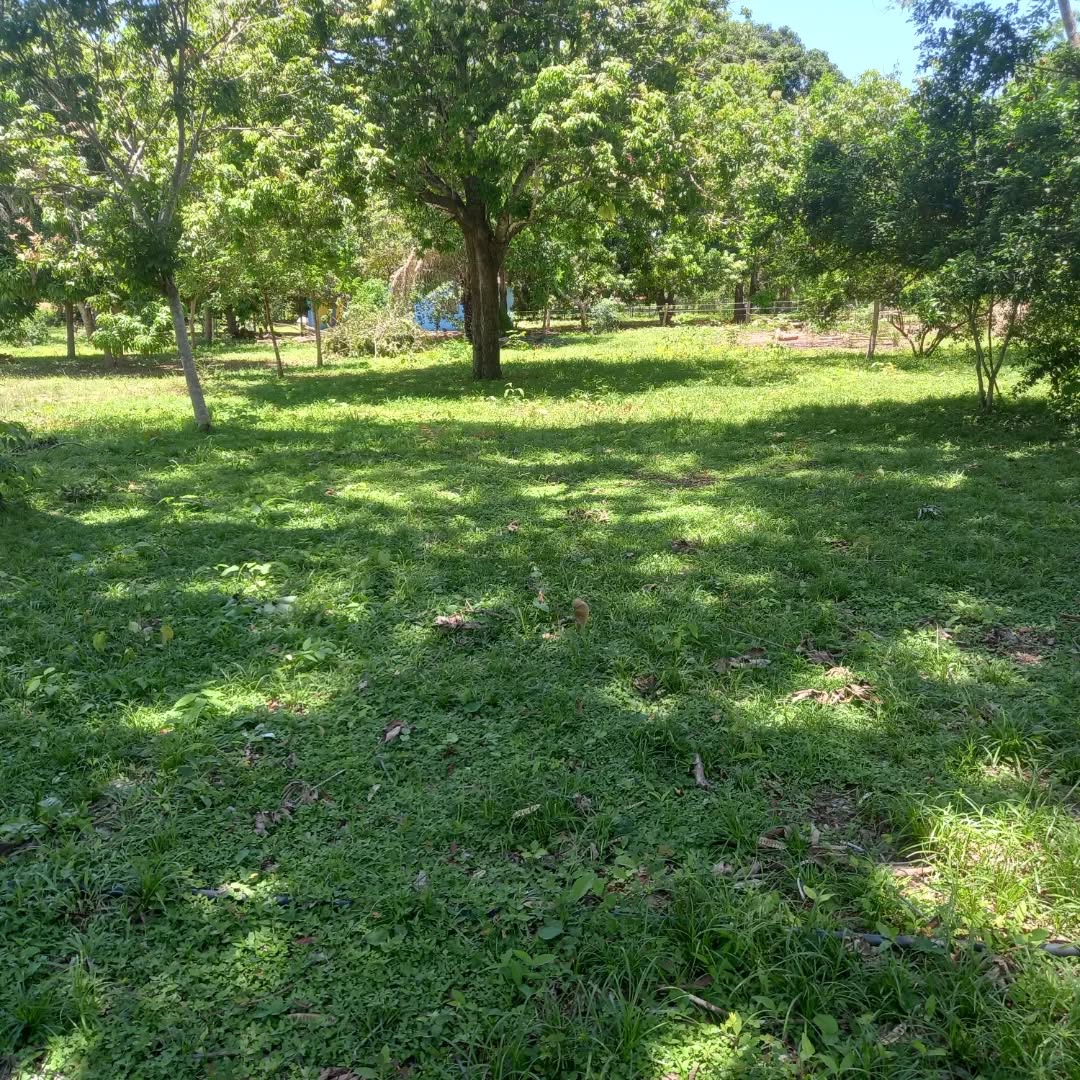 Camping Coxipó do Ouro 2 - Imagem 8