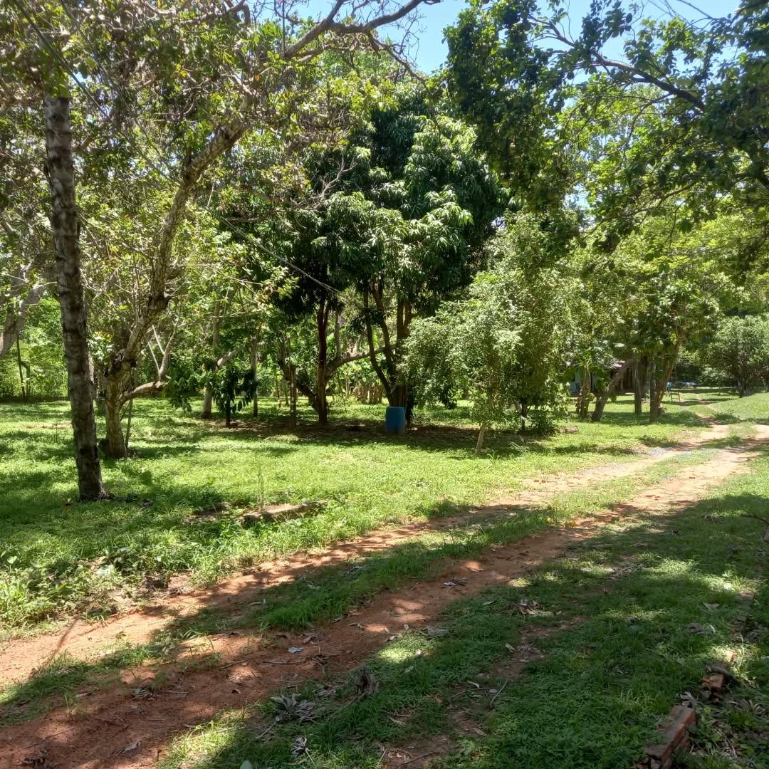 Camping Coxipó do Ouro 2 - Imagem 10