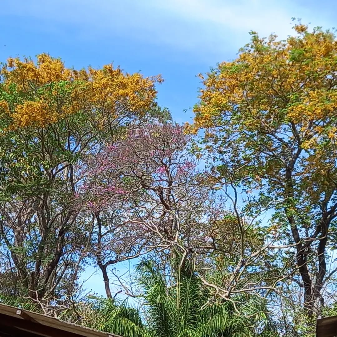 Camping Coxipó do Ouro 2 - Imagem 12