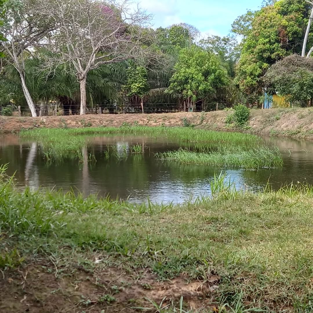 Camping Coxipó do Ouro 2 - Imagem 15