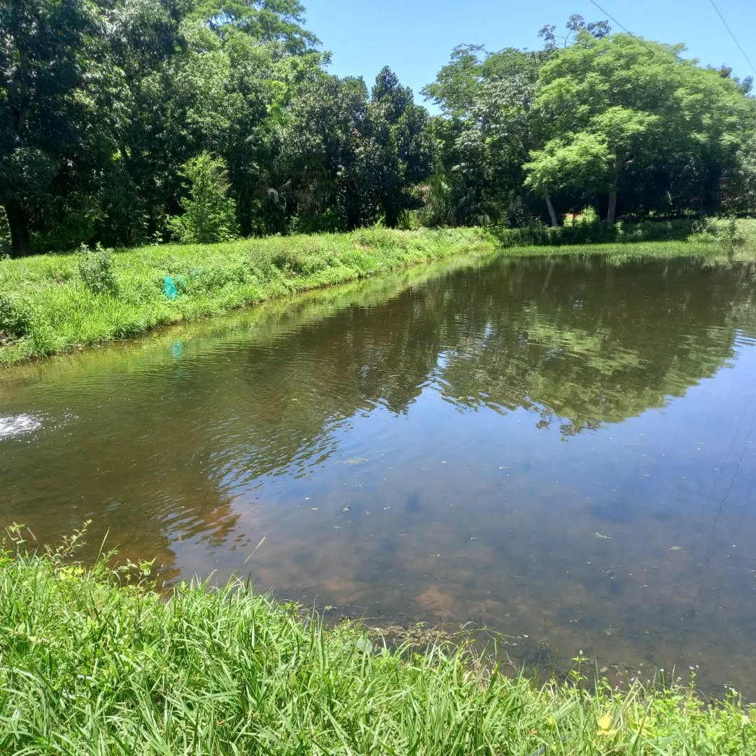 Área de Camping - imagem 5