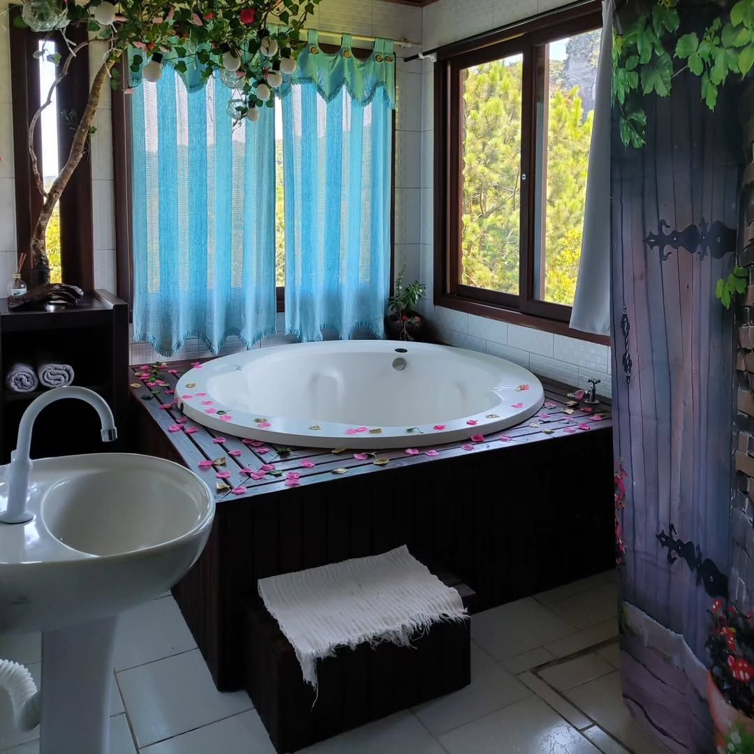 Fazenda Ventania - Imagem 39