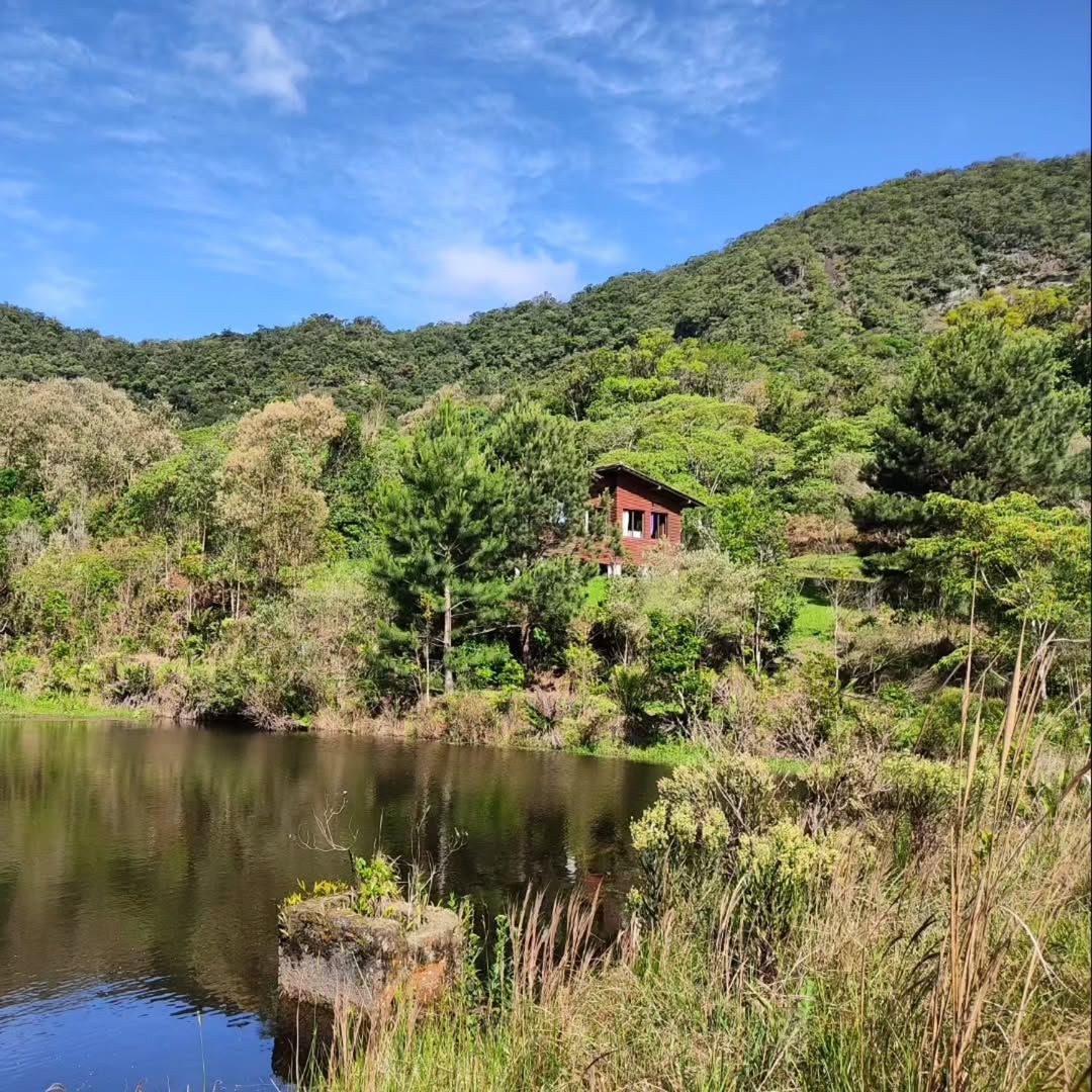Fazenda Ventania - Imagem 47