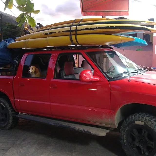 Camping Do Léo Castelhanos Ilhabela - Imagem 19