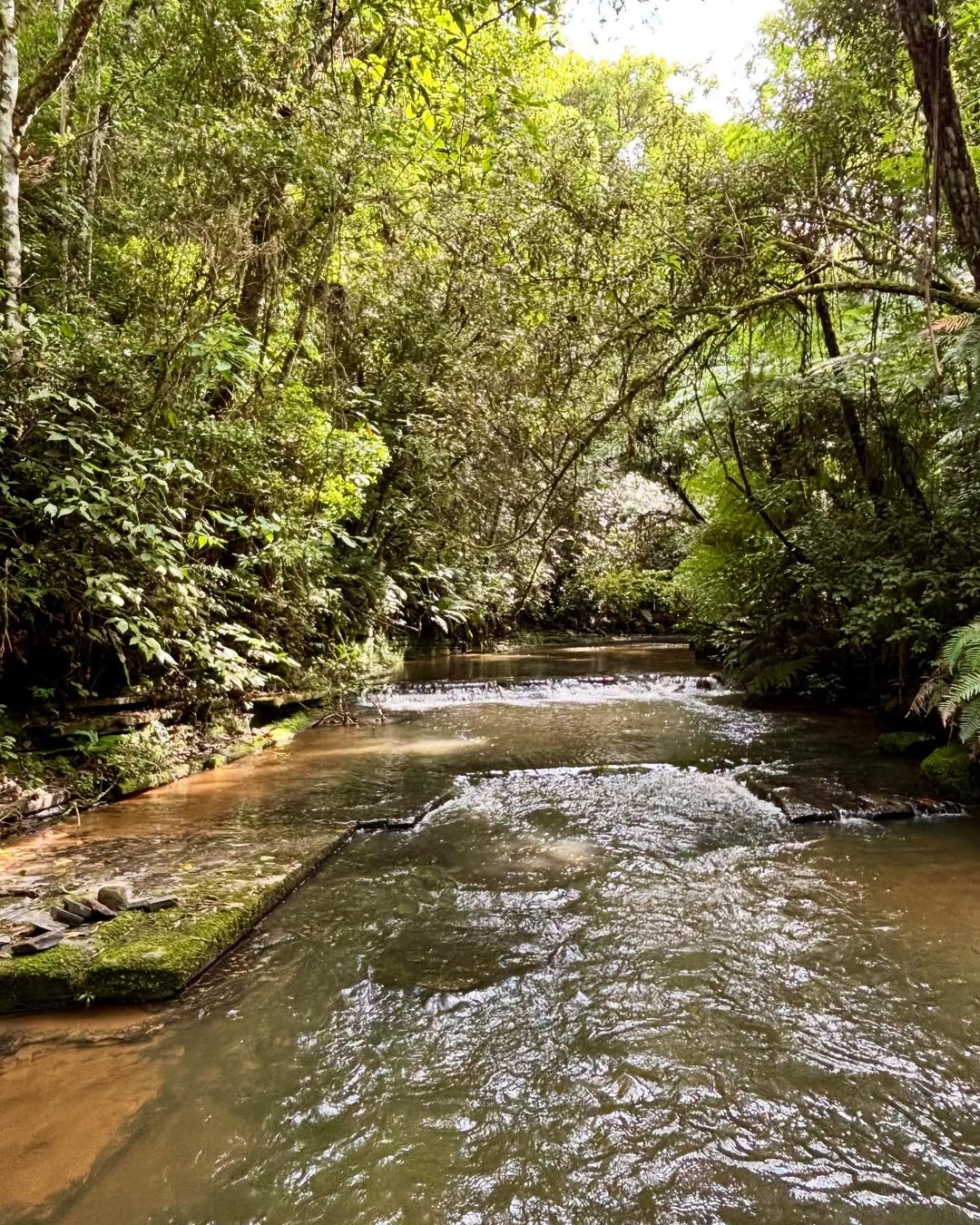 Recanto das Cachoeiras - Imagem 6