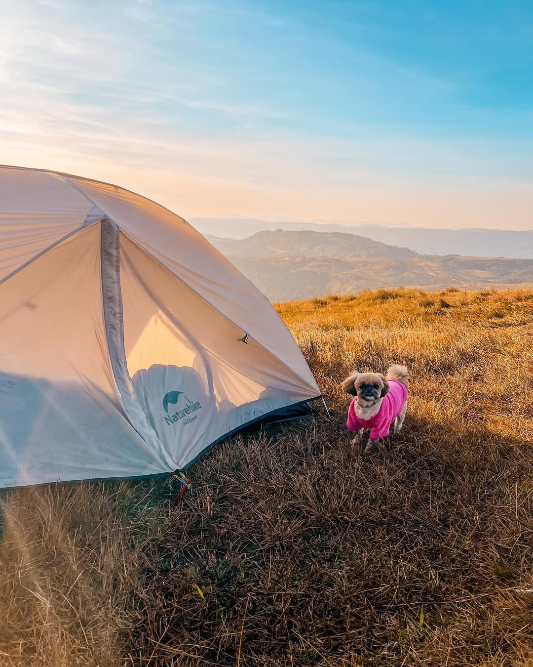 Camping Parque Boa Vista - Imagem 20