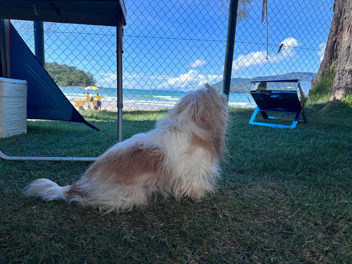 Camping CCB Maranduba (SP-04) - Image 5