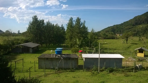 SiriúCamping - Image 2