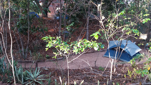 Cobra de Cabelo - Camping - Image 2