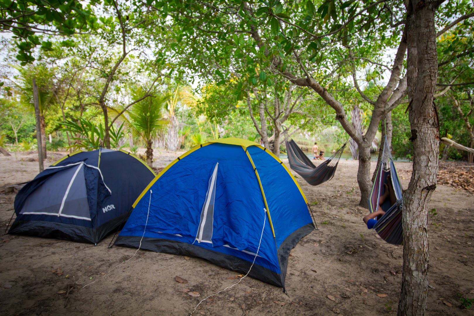 Recanto do Mico Mirim - Main Image