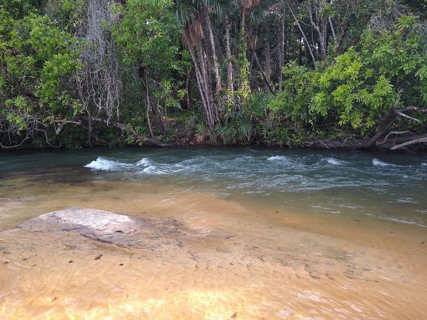 Recanto do Mico Mirim - Image 3