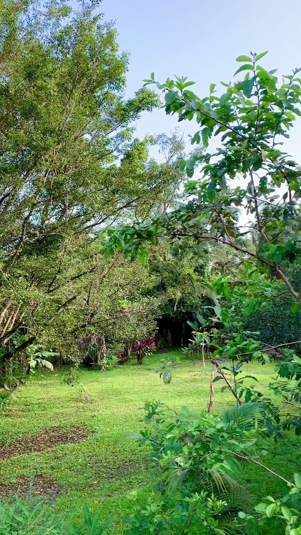 Camping O Canto - Image 2