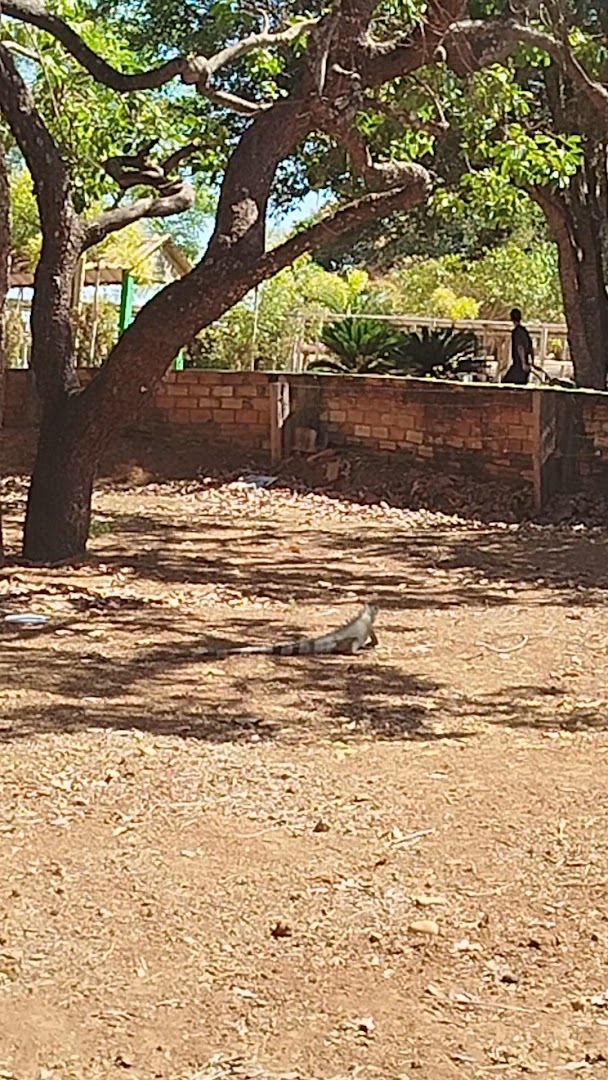 Camping do Sérgio - Image 2